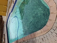 we do clean green algie pool water aswell